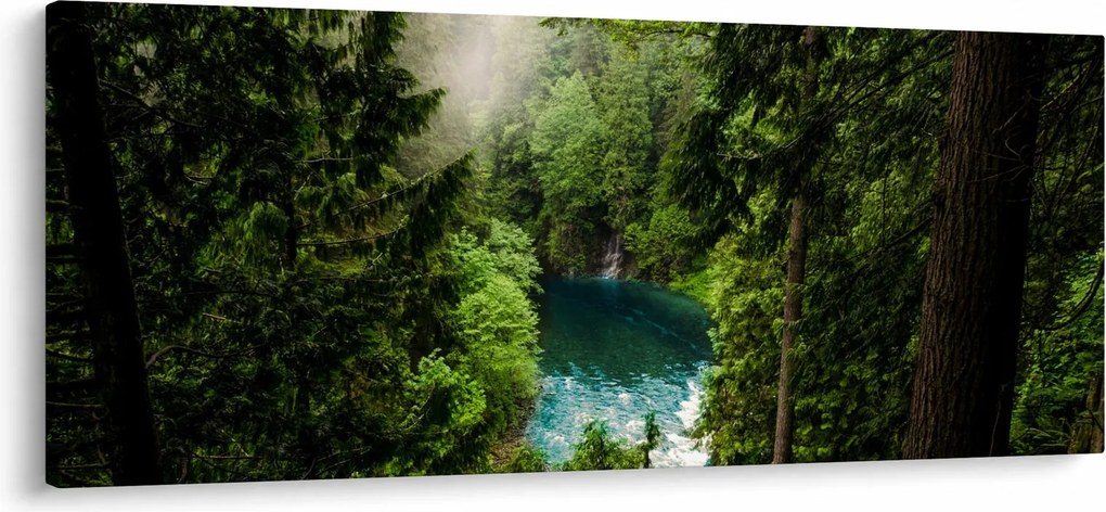 Kép - kilátás a fák között (120x50 cm)