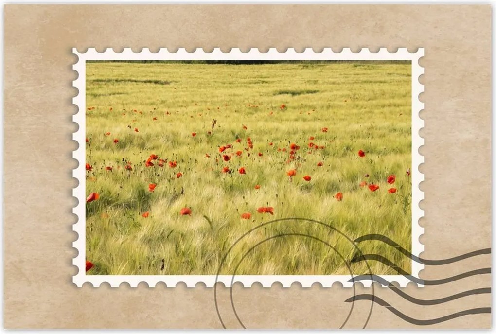 Poszterek 90x60 Pipacsok a mezőn