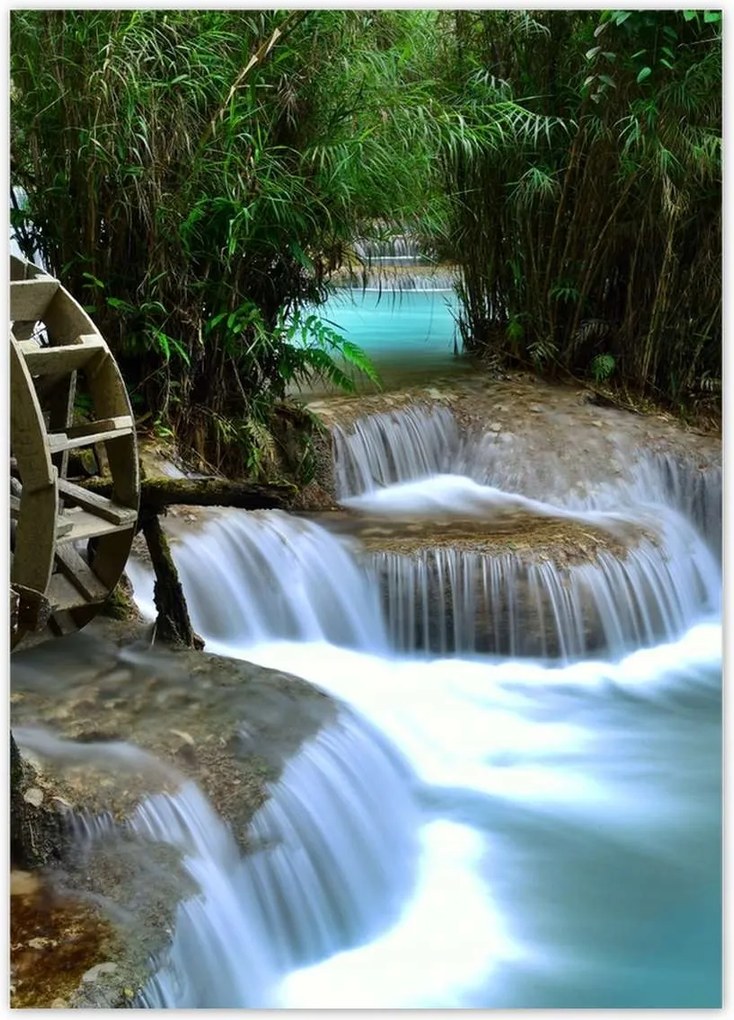 Poszterek 50x70 Fa malom a folyón