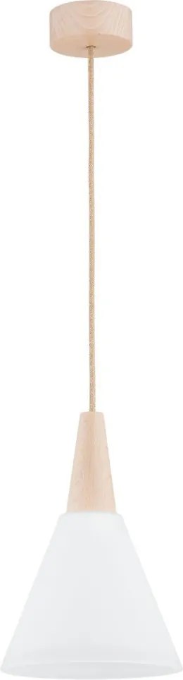 Alfa BEVEL 61210 Függőlámpa 1x60W/E27 IP20