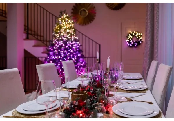 Twinkly TWS250SPP-TEU - LED RGBW kültéri karácsonyi lánc 250xLED 23,5m IP44 Wi-Fi