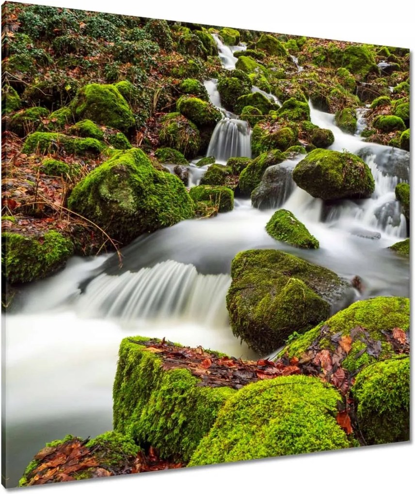 Vászonkép 90x90 Hegyi tájkép, patak