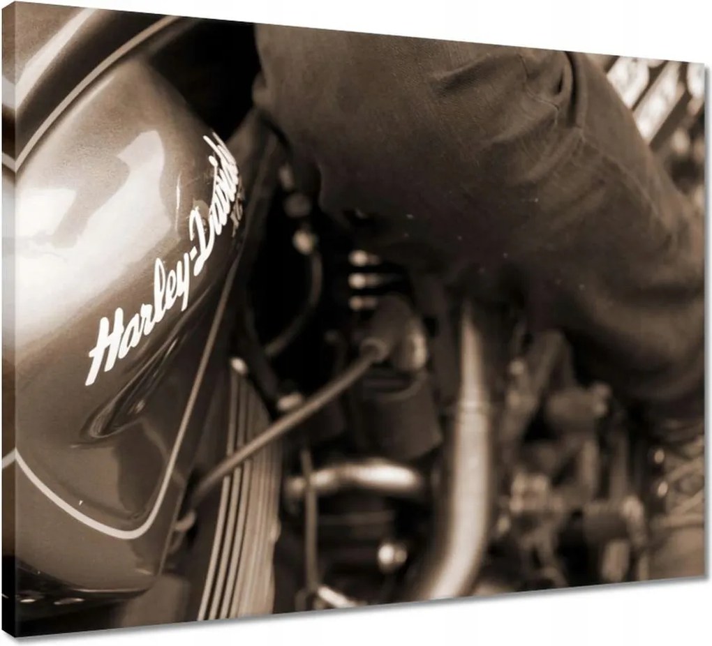 Vászonkép 50x40 Harley Davidson Motorkerékpár
