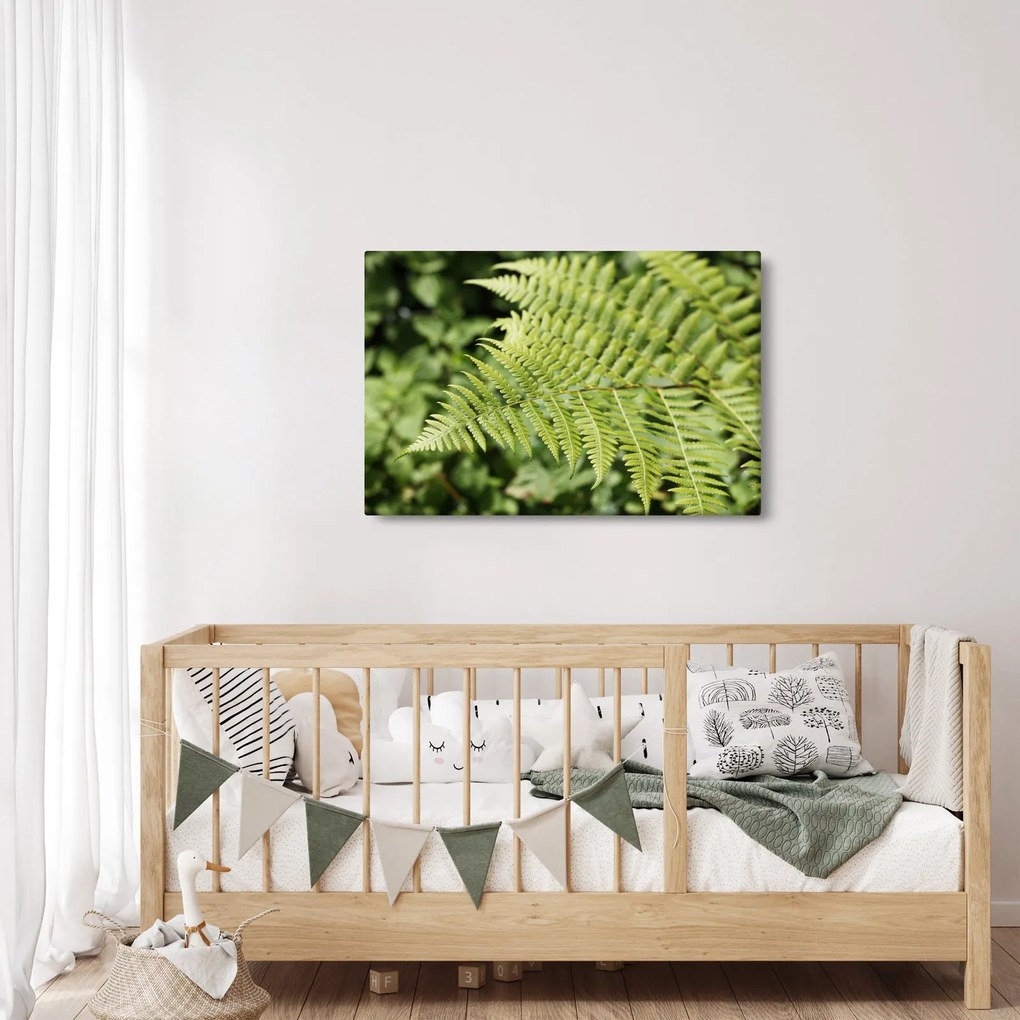 Kép - Páfránylevél (90x60 cm)