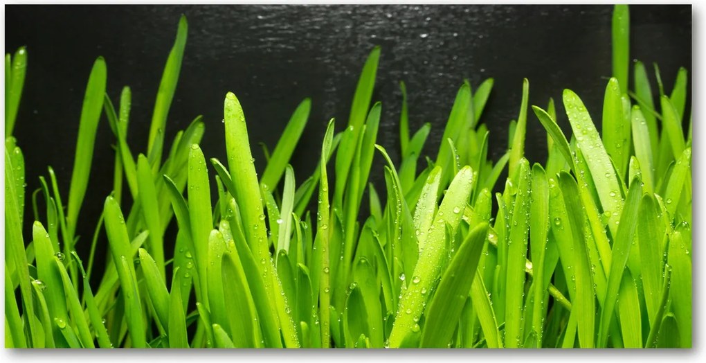 Üvegpanel a konyhába Fű 120x60 cm Ragasztó