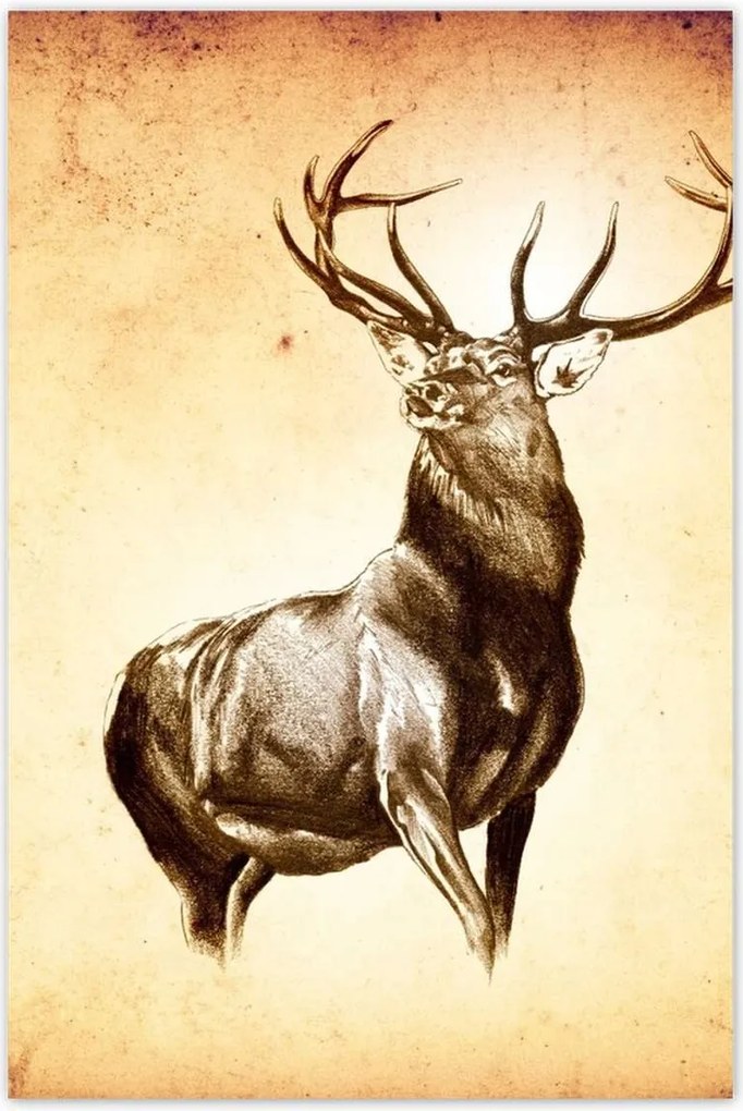 Poszterek 80x120 Szarvas szarvakkal