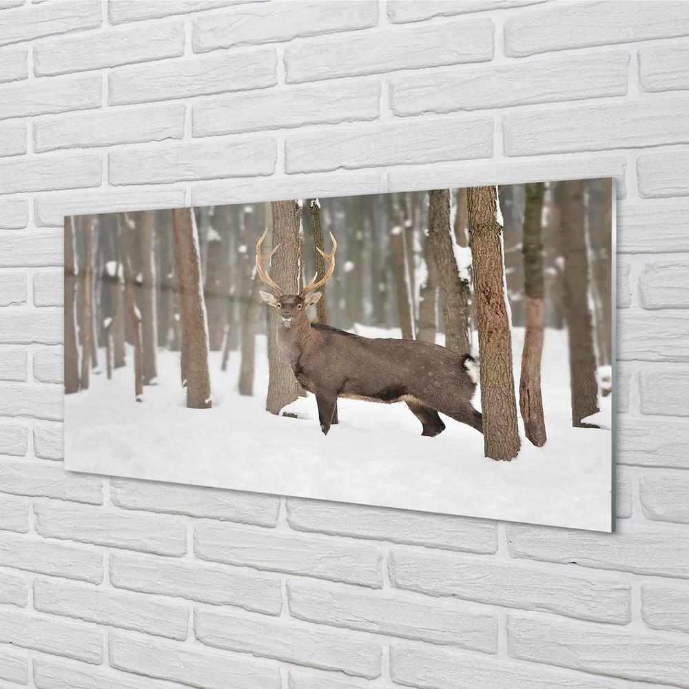Üvegképek Deer téli erdőben 100x50 cm