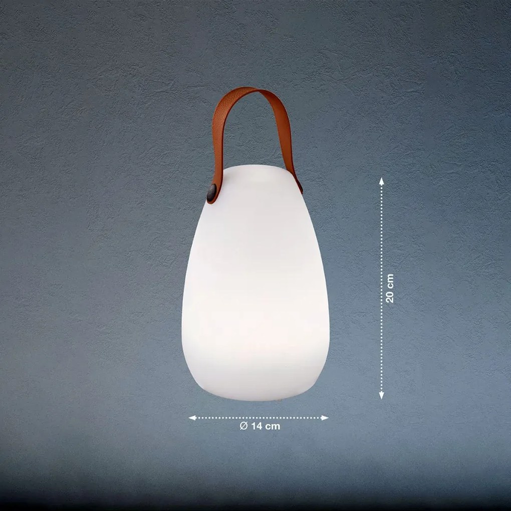 FISHER&HONSEL 850142 RUBY Kültéri Dekorációs Lámpa LED IP44