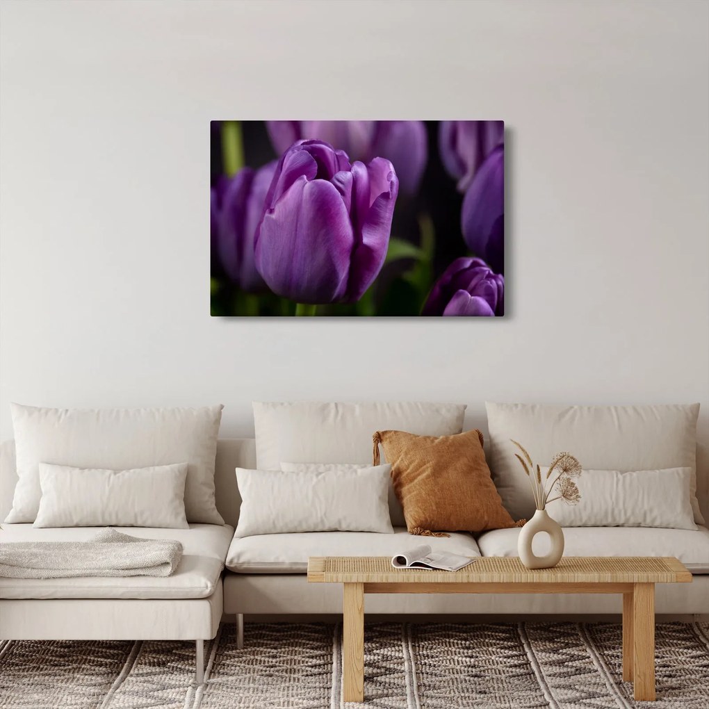 Tulipán vírág képe (90x60 cm)