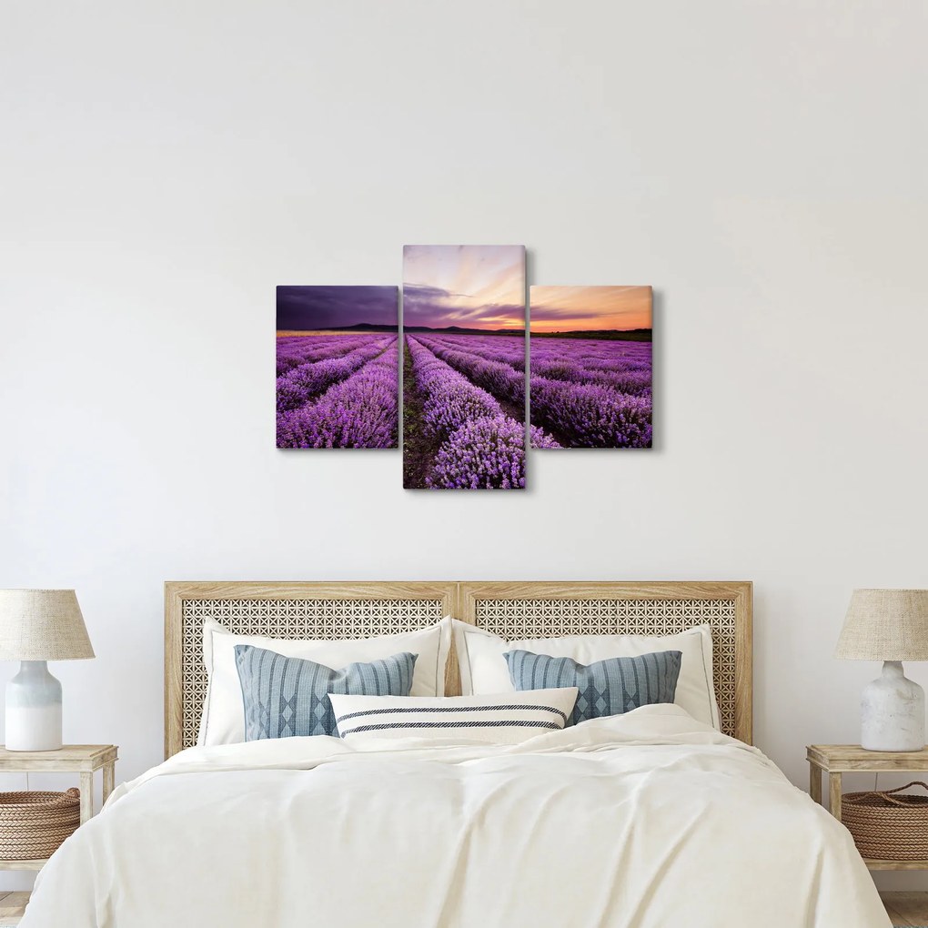 Kép - Levendulamező naplementében (90x60 cm)