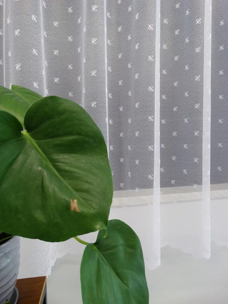 Mg Függöny jacquard fehér 35245 300x180cm kész, Szalaggal Díszített M