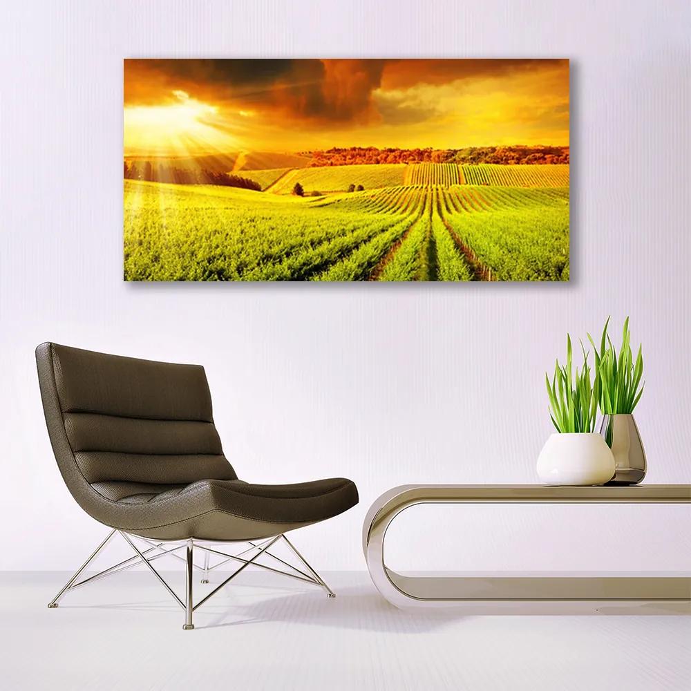 Modern üvegkép Field Sunset Landscape 125x50 cm