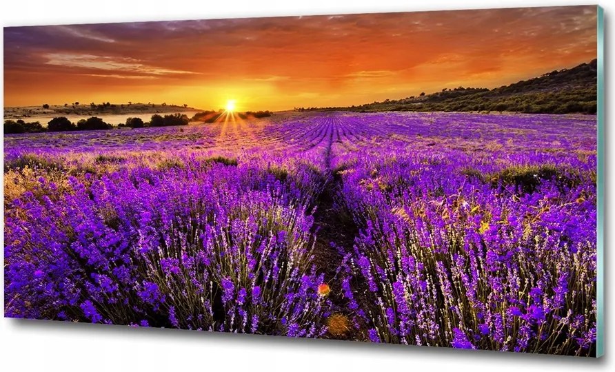 Fotótapéta falra edzett üveg Dzsungel 100x70