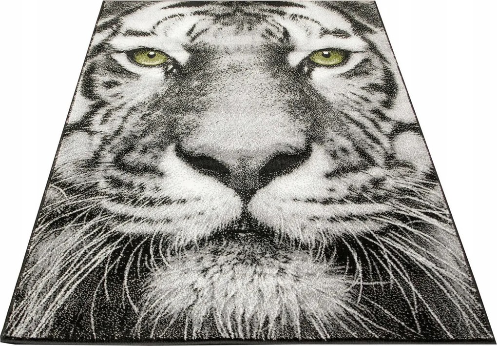 Tigrisszőnyeg Szürke Fekete Ifjúsági Modern Stílusos Rainbow 133x190 cm