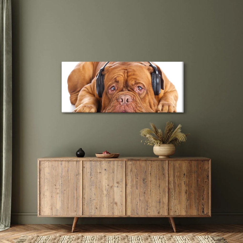 Kép egy kutya fejhallgatóval (120x50 cm)