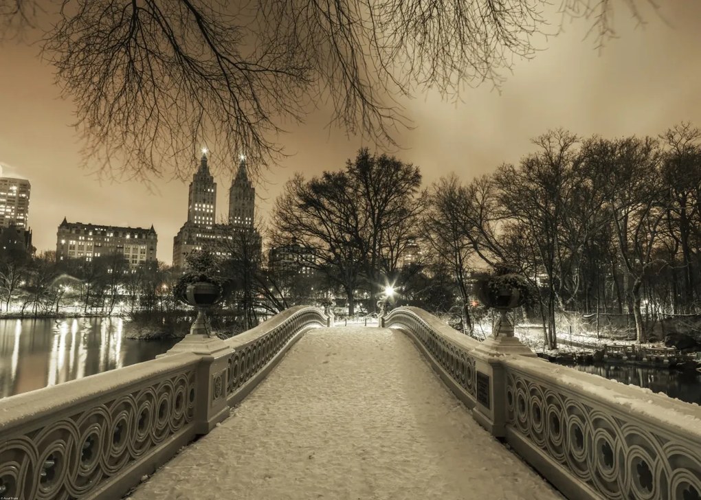 Poszter 70x50cm Central Park Bow Bridge Manhattan panorámával, Assaf Frank
