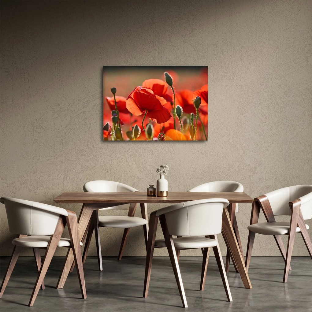 Pipacsok képe (70x50 cm)