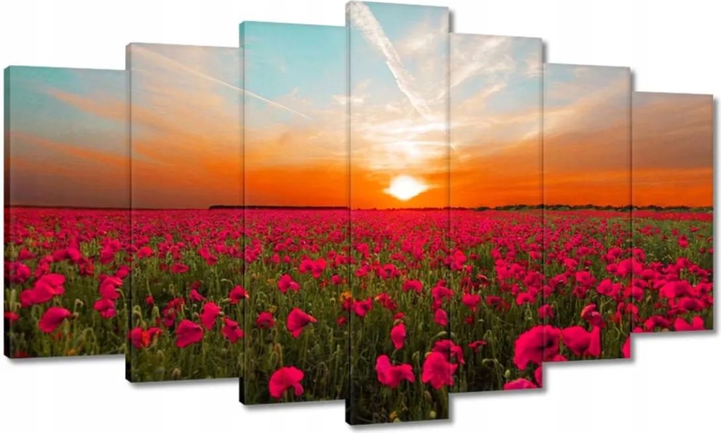 Vászonkép 140x80 Rózsaszín pipacsok Naplemente