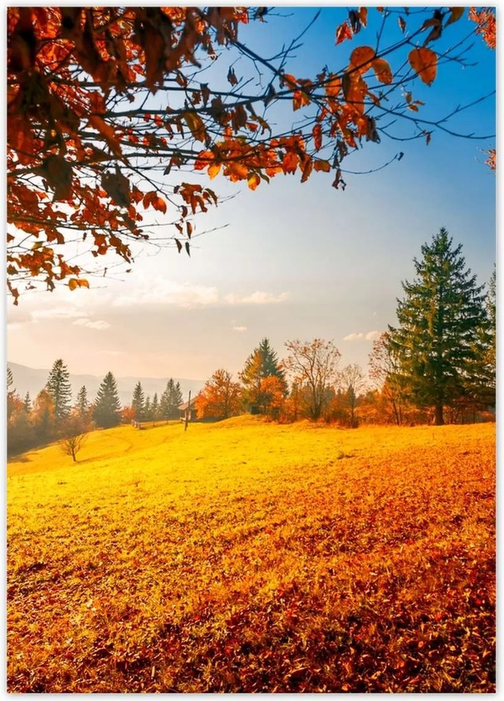 Poszterek 50x70 Őszi táj