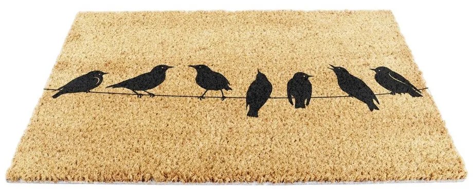 Kókuszrost lábtörlő 60x90 cm Birds On a Wire – Artsy Doormats
