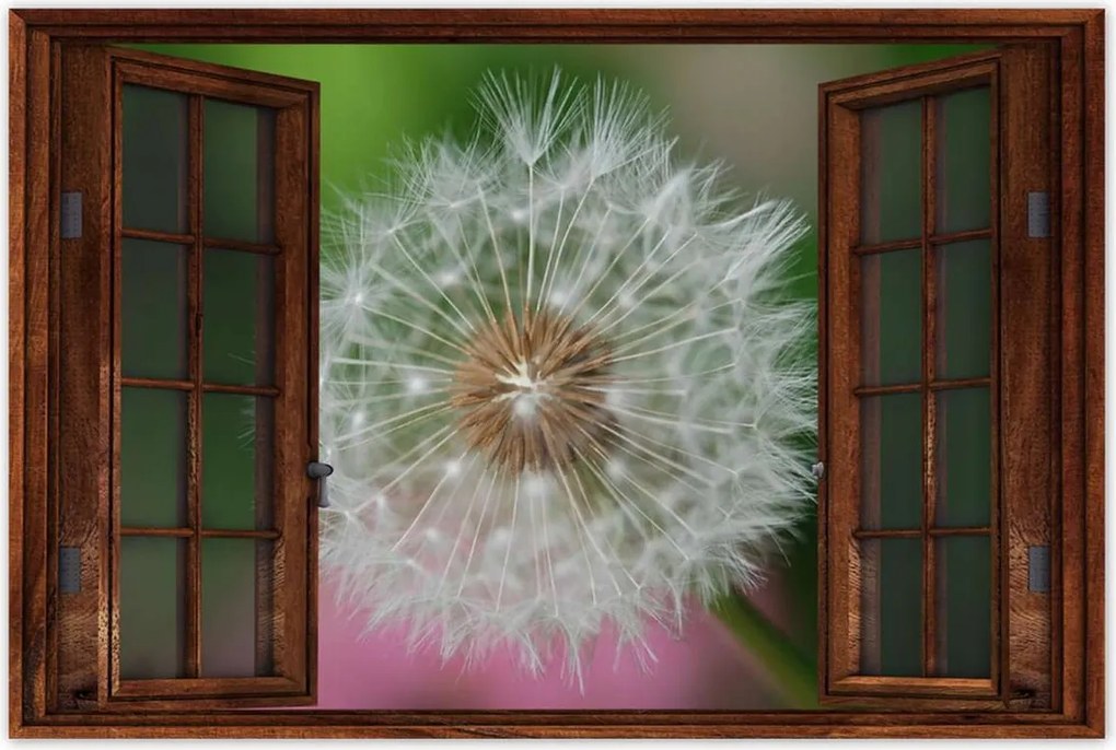 Poszterek 90x60 Pitypang Virág Virágok