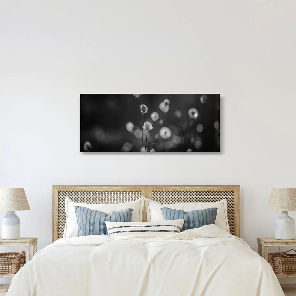 Kép - Pamutfű a réten (120x50 cm)
