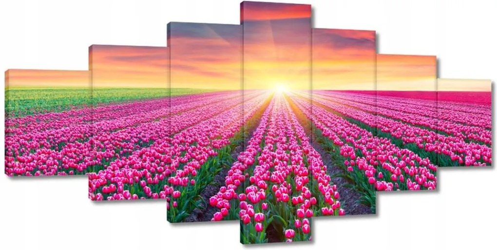 Vászonkép 210x100 Tulipánok tengere Virágok