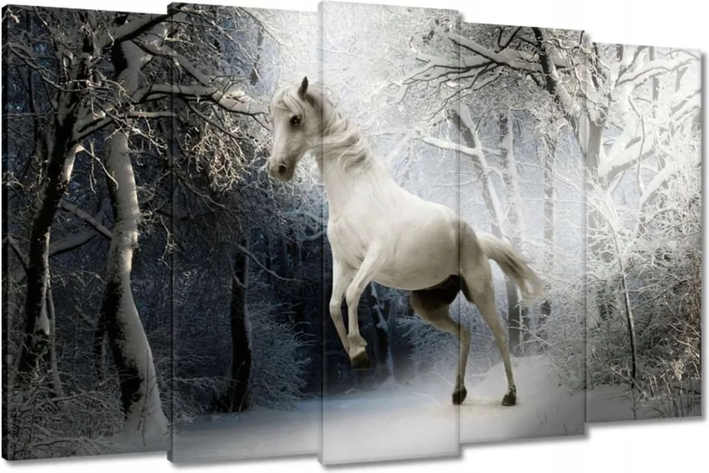 Vászonkép 150x95 Fehér paripa