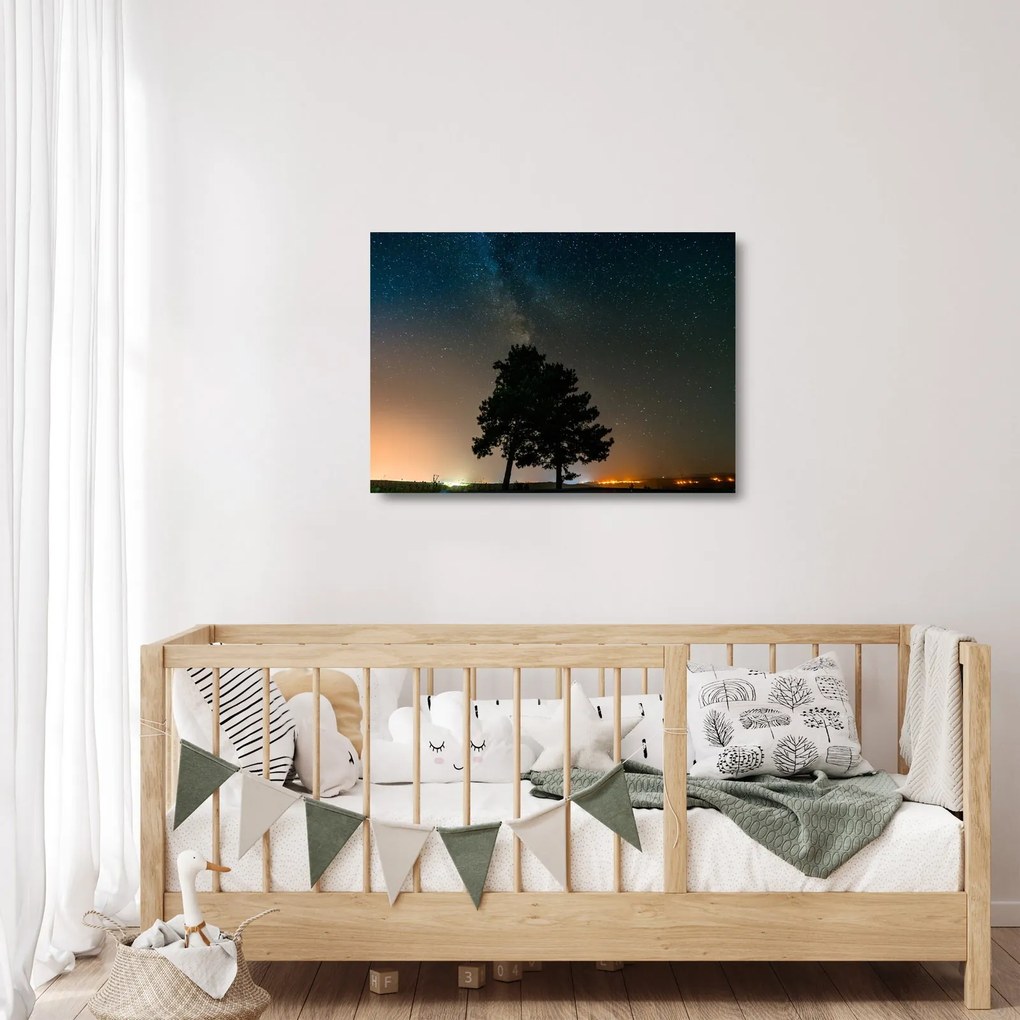 Egy éjszakai égbolt fákkal képe (üvegen) (70x50 cm)