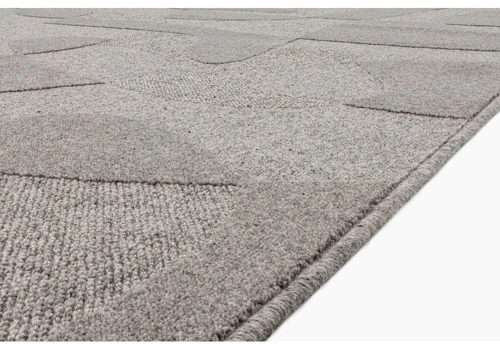 Szürke gyapjú szőnyeg 200x300 cm Morphic Botanica – Agnella