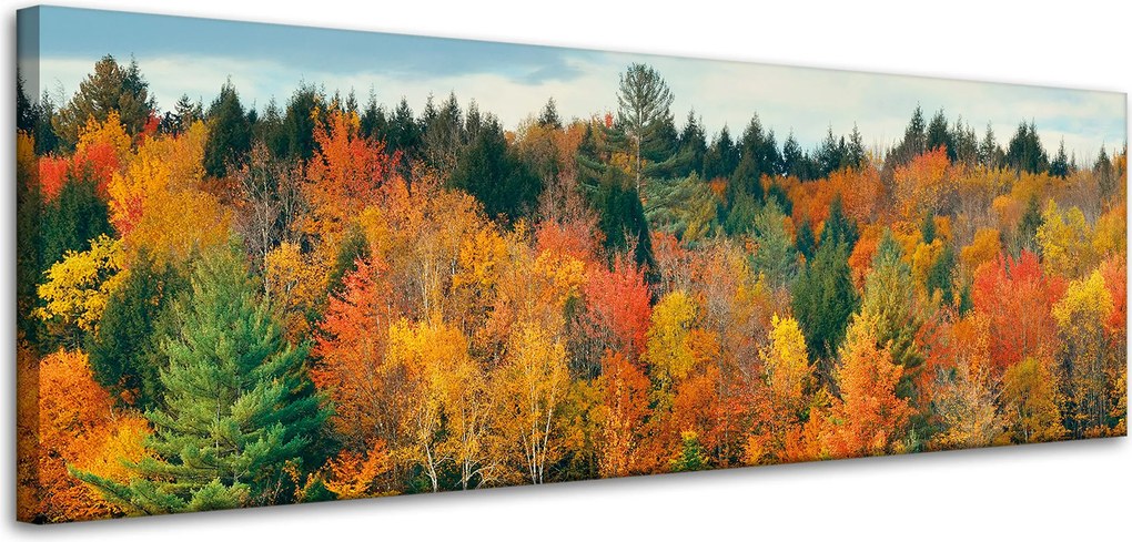 Vászonkép Színes Levelek Fák Ősz Természet 120x40 cm