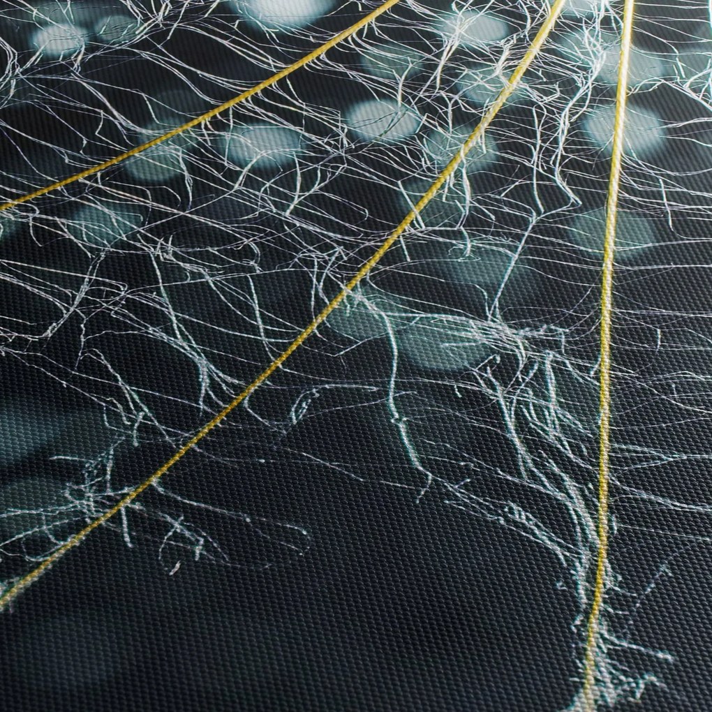 Kép - Virág pókhálóval (órával) (90x30 cm)
