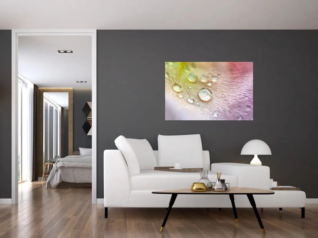 Kép - Harmatcseppek (90x60 cm)