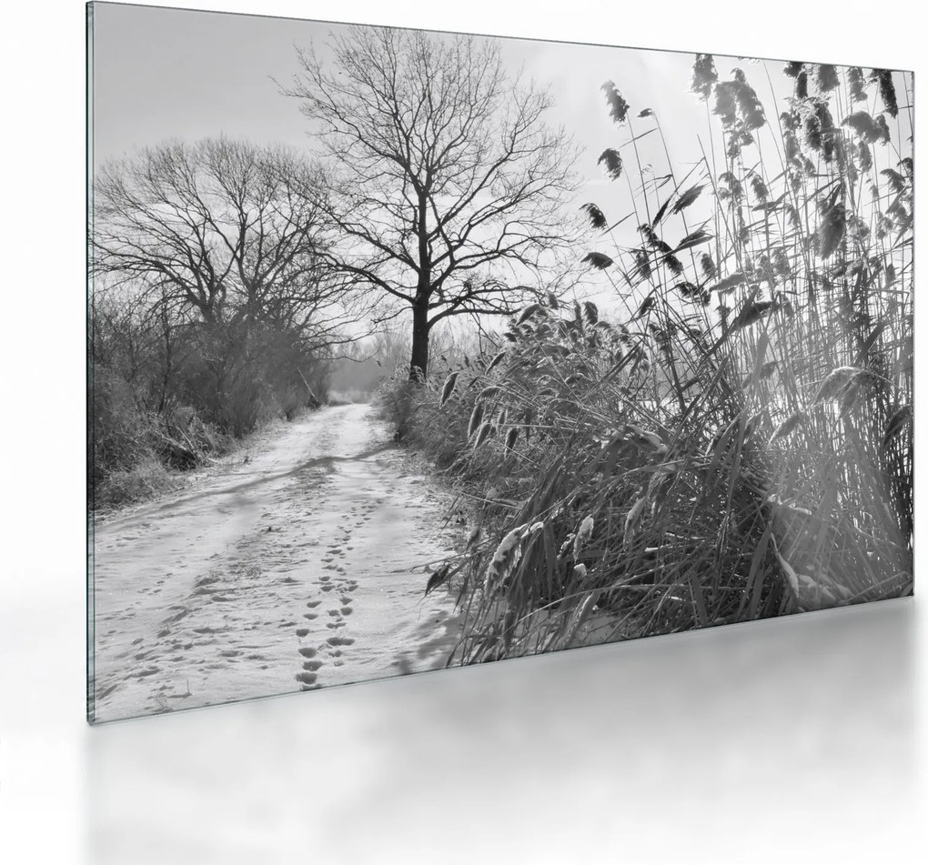 Üveg kép - Mezők télen (70x50 cm)