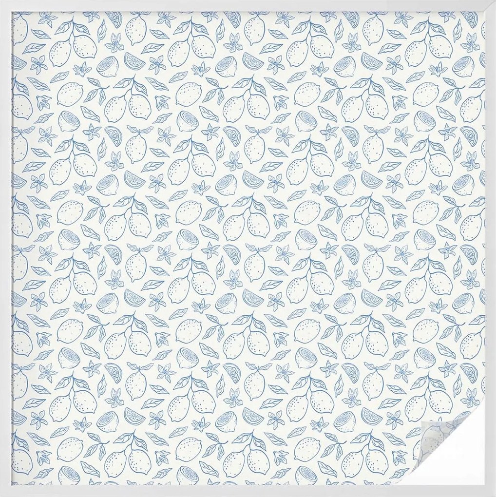 Ablakfólia Szélvédő Adatvédelem Citrom mintás 100x100 cm