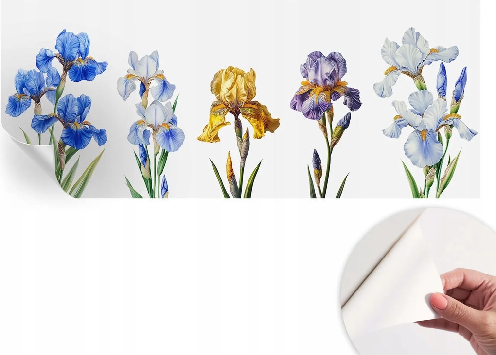 Fotótapéta Fali tapéta Hálószobába és Nappaliba Írisz virágok 250x104 cm