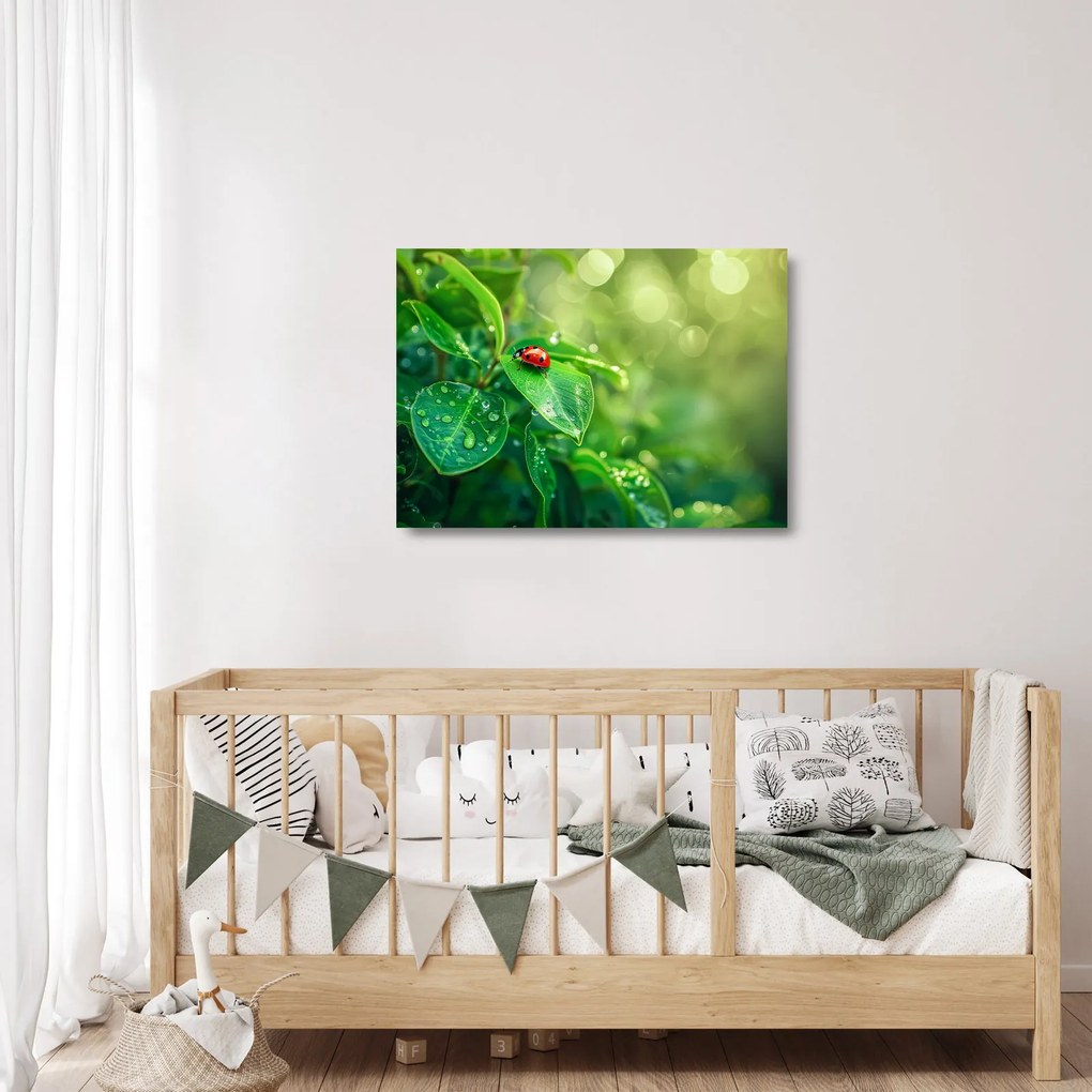 Üveg kép - Katicabogár (70x50 cm)