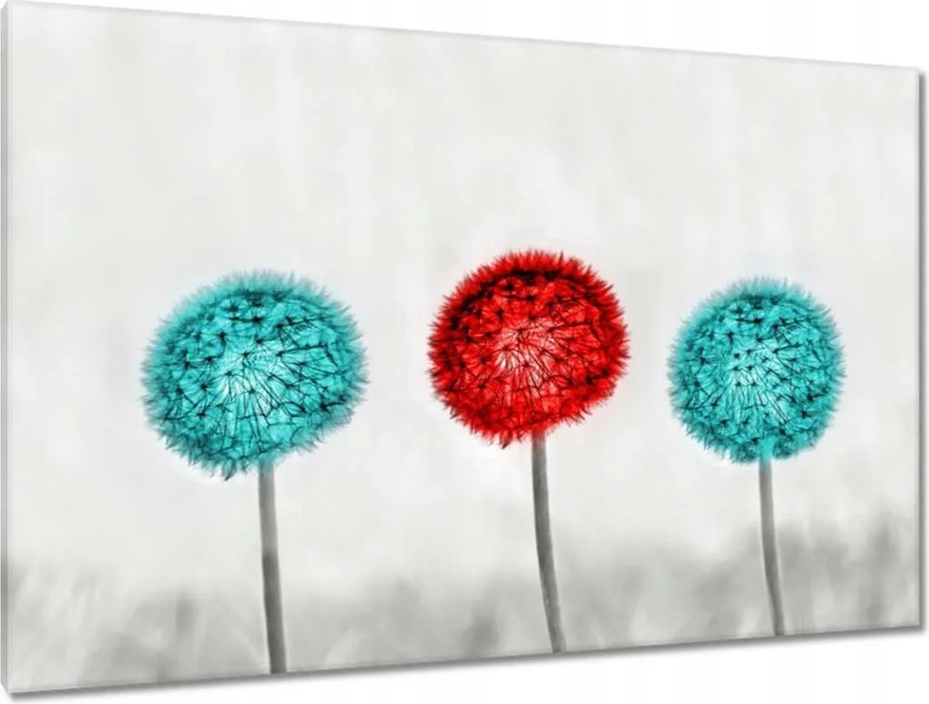 Képek 120x80 Pitypangok