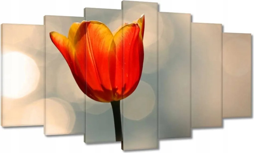 Vászonkép 140x80 Narancssárga tulipán