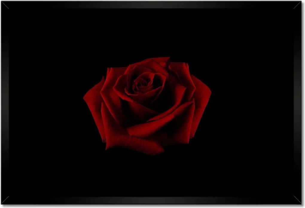 Poszter keretben 60x40 Gyönyörű vörös rózsa