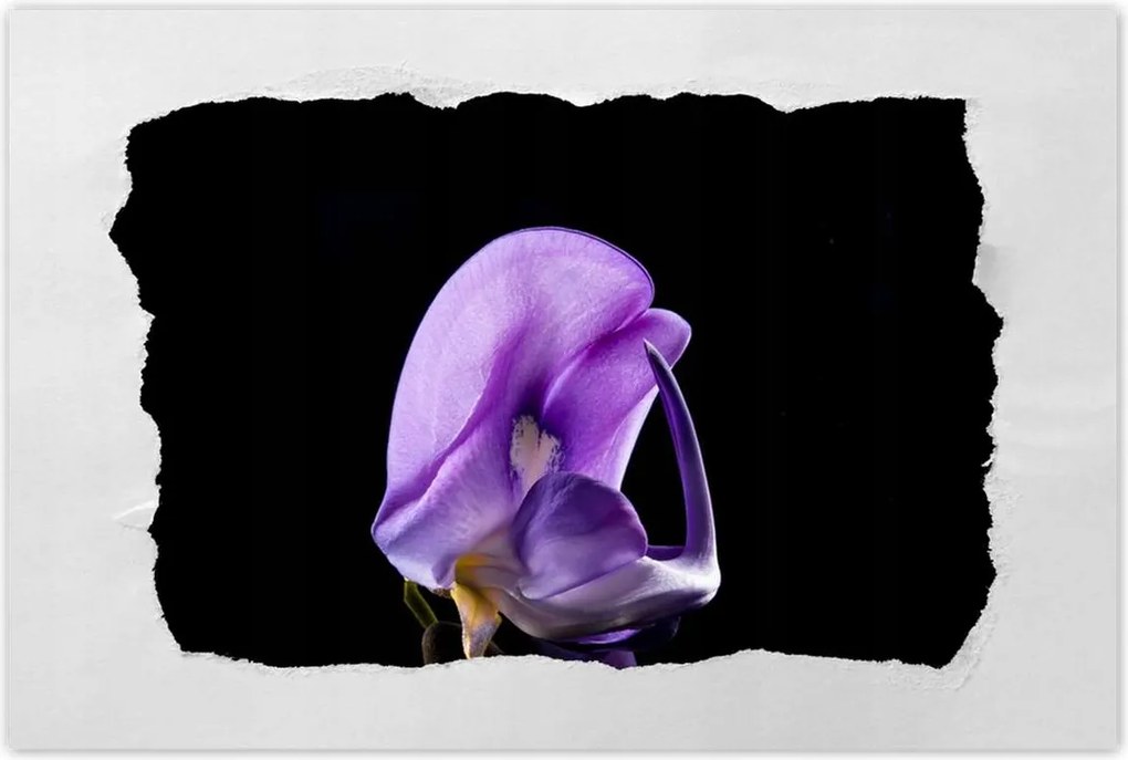 Poszterek 90x60 Nőnap Ajándék Love