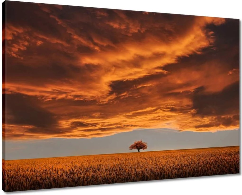 Vászonkép 70x50 Narancssárga égbolt