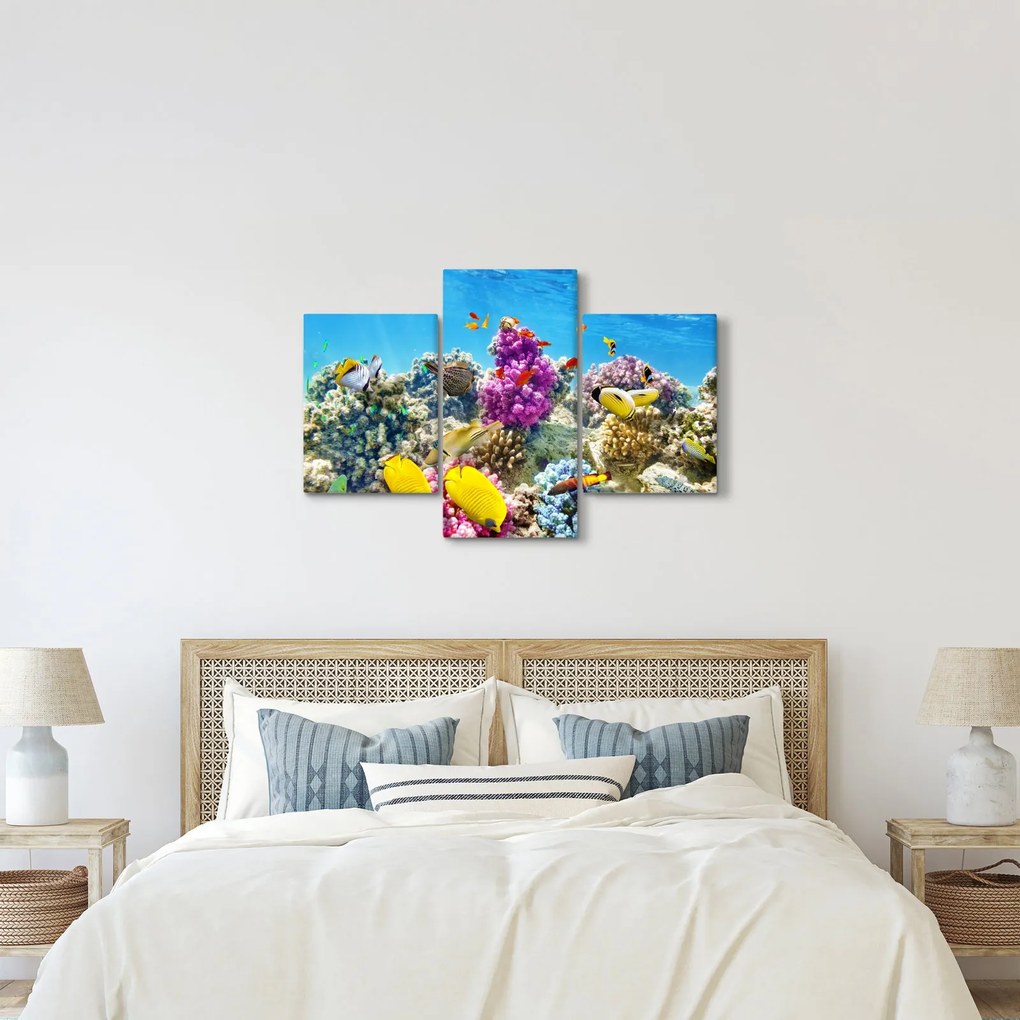 Kép - A tenger világa (90x60 cm)