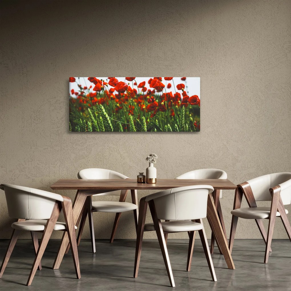 A pipacsok képe a szélben (120x50 cm)