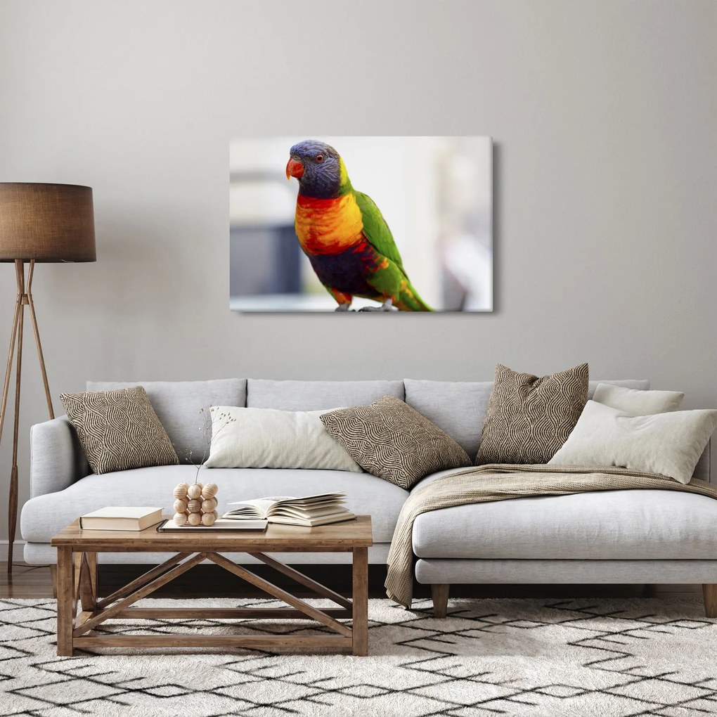 Papagáj képe (90x60 cm)