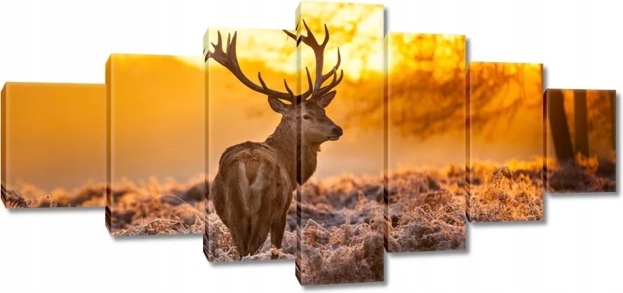 Vászonkép 210x100 Szarvas naplementekor