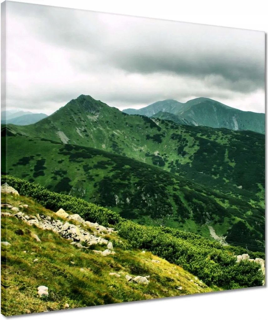 Vászonkép 50x50 Tátra Lengyel hegyek Kilátás