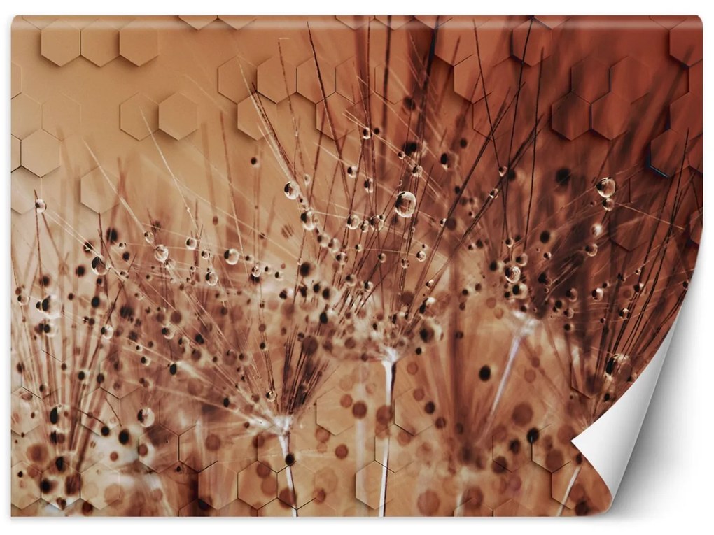 Gario Fotótapéta Fúvókák harmatcseppekben Anyag: Vlies, Méret: 100 x 70 cm