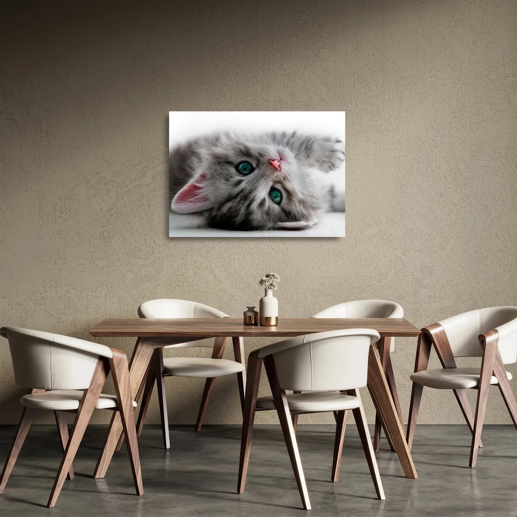 Üveg kép - Macska zöld szemekkel (70x50 cm)