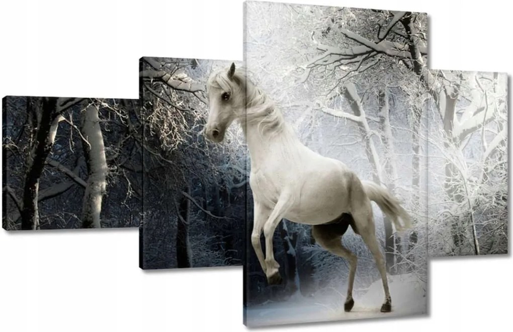 Vászonkép 130x80 Fehér paripa